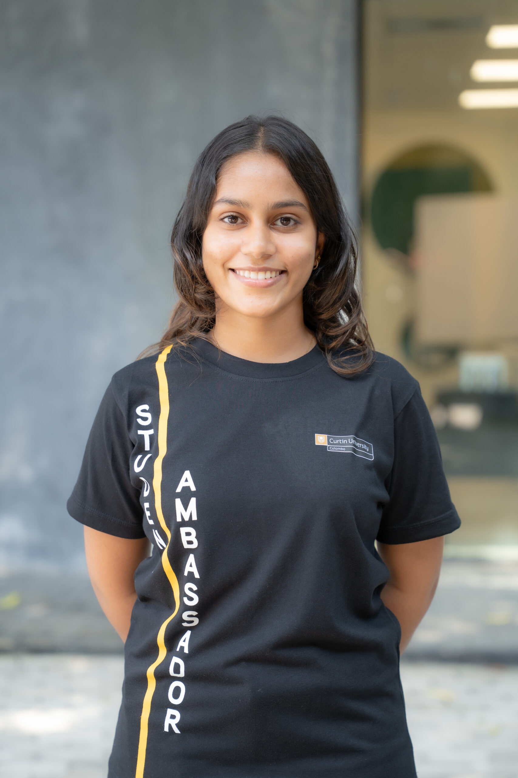 Dona Nivini Suhasya Colombage flag